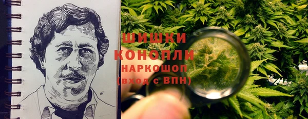 ALPHA PVP Богородицк